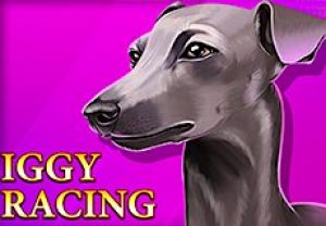 General information about Iggy Racing slot