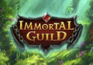 General information about Immortal Guild slot