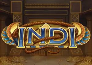 General information about Indi slot