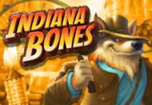 General information about Indiana Bones slot