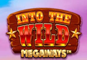 General information about Into The Wild Megaways slot