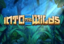 Into the Wilds
