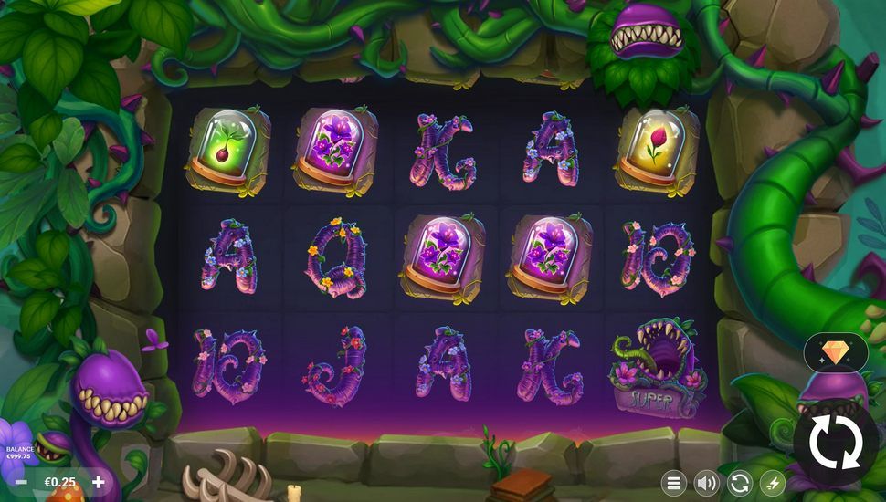 Ivy slot gameplay