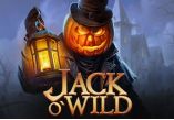 Jack O'Wild