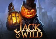 Jack O'Wild