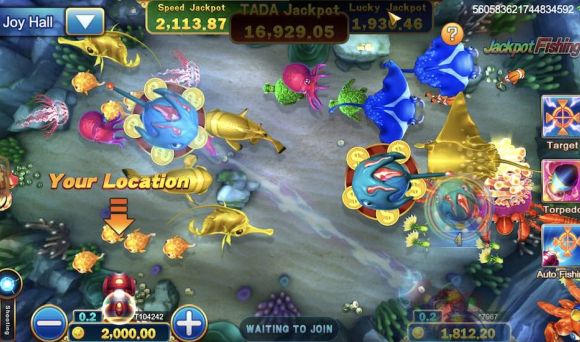 Jackpot Fishing