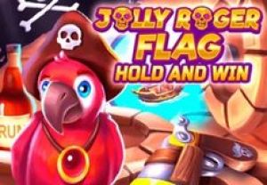 General information about Jolly Roger Flag slot