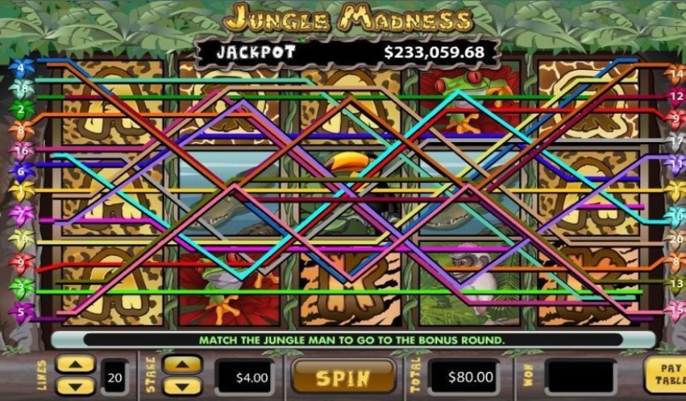 Jungle Madness