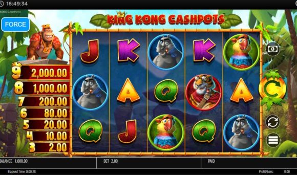 King Kong Cashpots