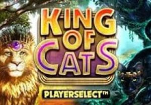 General information about King of Cats slot