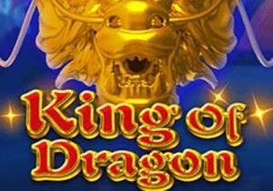 General information about King Of Dragon slot