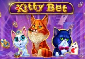 General information about Kitty Bet slot