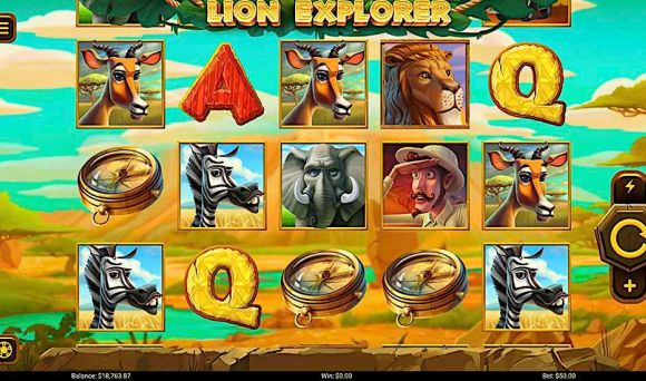 Lion Explorer