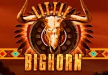Little Bighorn