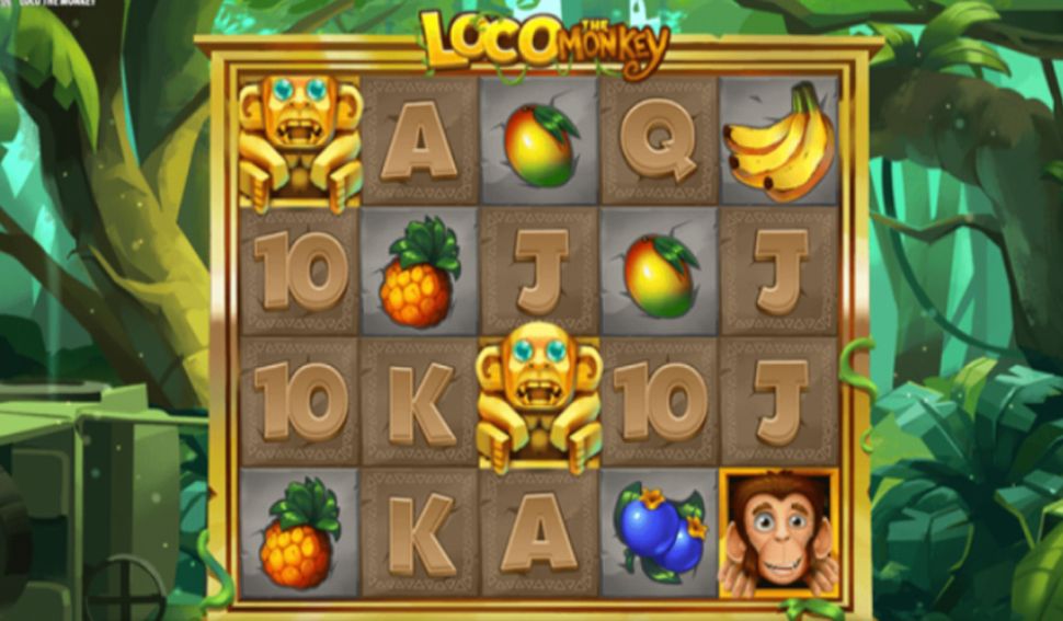 Loco the Monkey