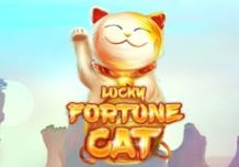 Lucky Fortune Cat