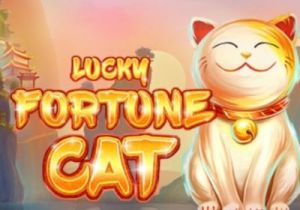 General information about Lucky Fortune Cat slot