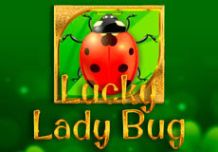 Lucky Lady Bug