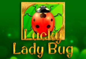 General information about Lucky Lady Bug slot