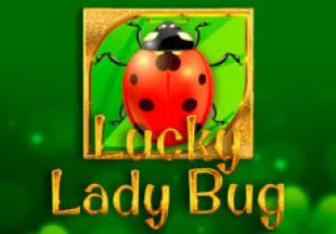 General information about Lucky Lady Bug slot