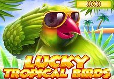 Lucky Tropical Birds 3x3