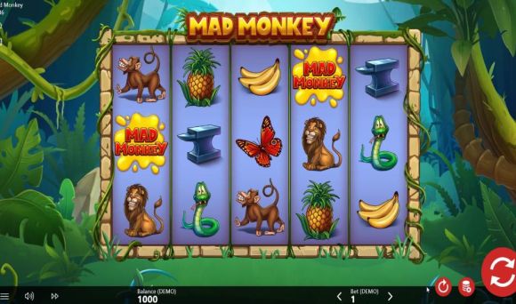 Mad Monkey