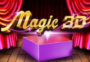 General information about Magic 3D slot