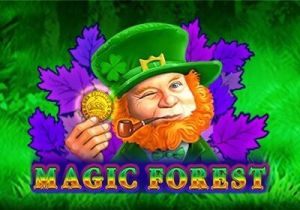 General information about Magic Forest slot