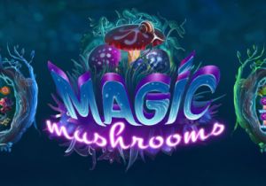 General information about Magic Mushrooms slot