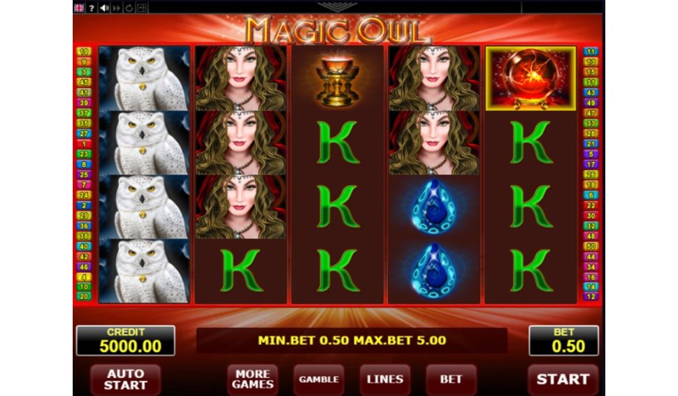 Magic Owl