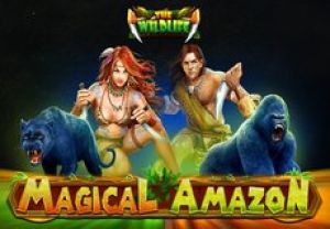 General information about Magical Amazon slot