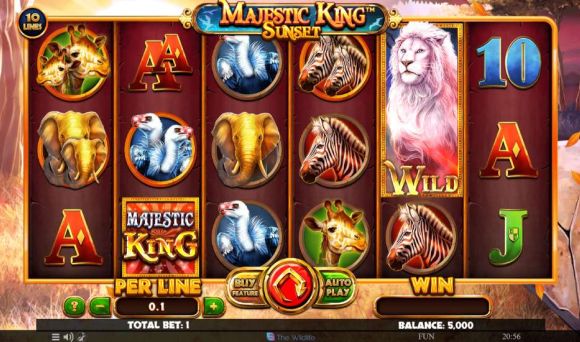 Majestic King - Sunset