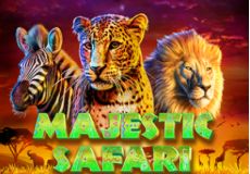 Majestic Safari