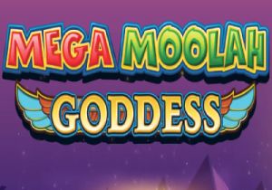 General information about Mega Moolah Goddess slot