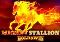 Mighty Stallion Hold&Win