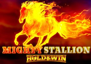 General information about Mighty Stallion Hold&Win slot