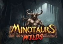 Minotaurs Wilds