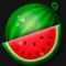 Watermelon symbol