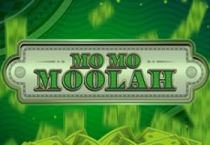 General information about Mo Mo Moolah slot