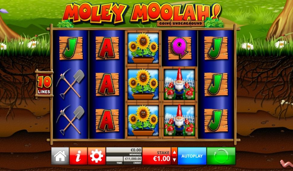 Moley Moolah! Going Underground