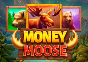 General information about Money Moose slot