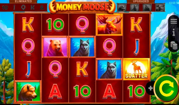 Money Moose
