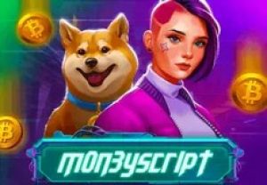 General information about MoneyScript slot