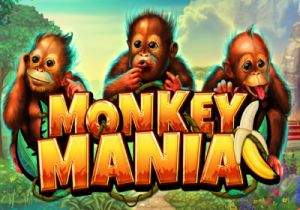 General information about Monkey Mania slot