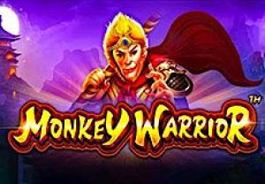 General information about Monkey Warrior slot