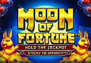 General information about Moon of Fortune slot