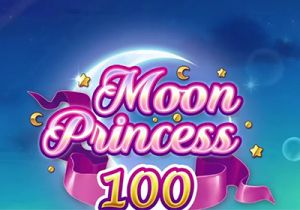 General information about Moon Princess 100 slot