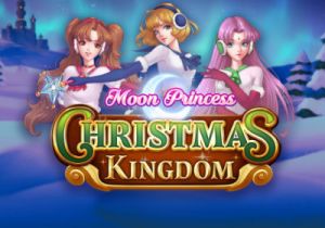 General information about Moon Princess: Christmas Kingdom slot