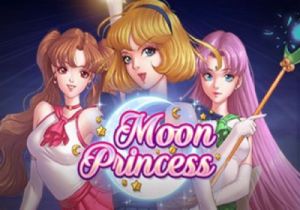 General information about Moon Princess slot