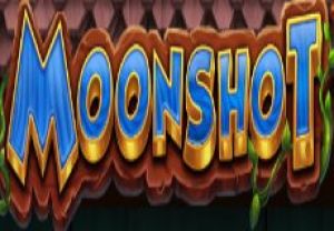 General information about Moonshot slot